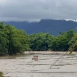 শিৱসাগৰ, যোৰহাট, নাজিৰা – প্ৰভাত বণিয়া