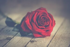 Pc Pixabay