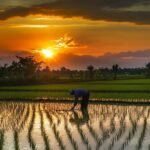 ন-ভূঁই – ৰশ্মি ৰেখা দুৱৰা