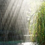 শাওণ – হৰেন কপ্তাক