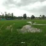 বালাগাঁও হাইস্কুলৰ খেলপথাৰৰ দুৰৱস্থা আৰু আমাৰ দায়িত্ব – আতিকুত জামান