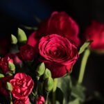 অদিতিৰ প্ৰেম – হেৰম্ব নাথ