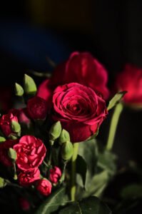 Pc Unsplash