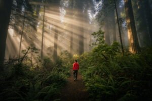 Pc Unsplash