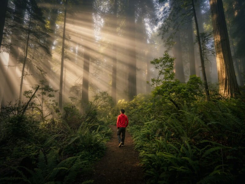 Pc Unsplash