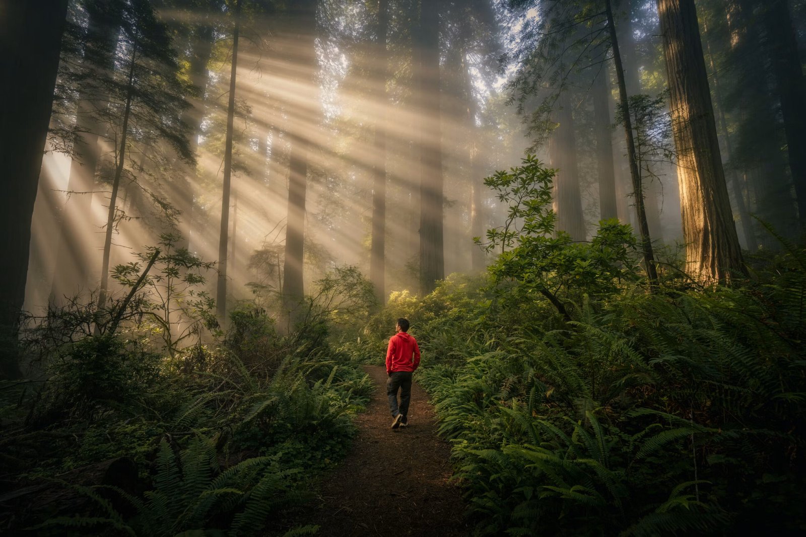 Pc Unsplash