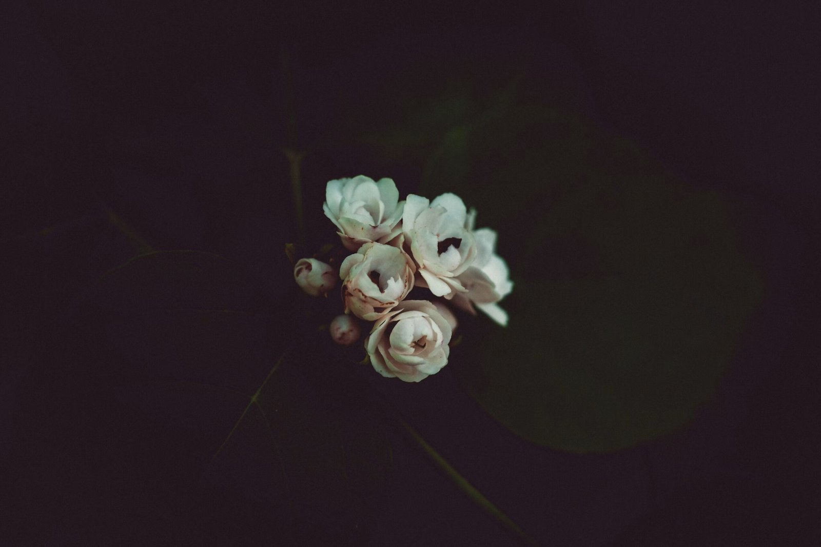 Pc Unsplash