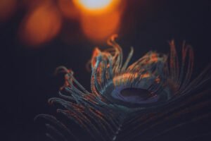 Pc Unsplash