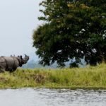 কাজিৰঙা বিক্ৰীৰ বাবে নহয় – দীপিকা ফুকন