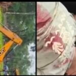 ডিব্ৰুগড়ৰ জালান চাহ বাগিচাত গছ কটাৰ সময়তে অঘটন