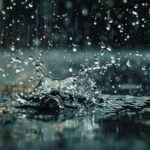 বৰষুণৰ শব্দবোৰেই প্ৰিয় – শৰৎ দাস