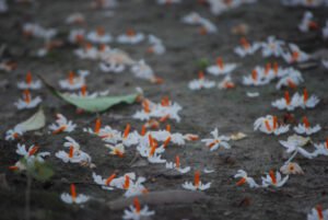 Pc Unsplash