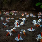 শৰতৰ কবিতা – গকুল চৌধুৰী 