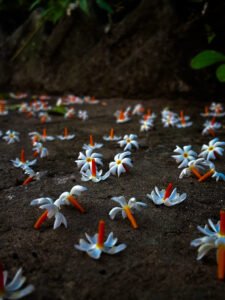 Pc Unsplash